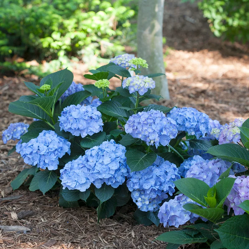 2026_06_16_655357