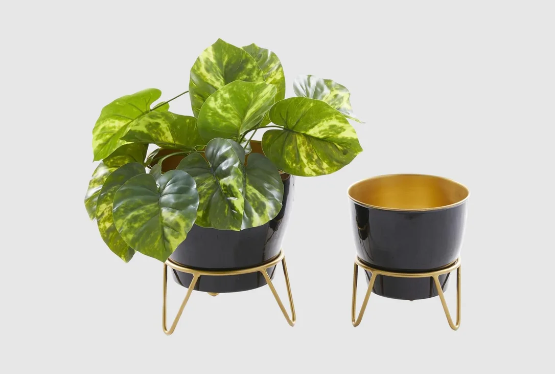 livingspaces202606210401051389722