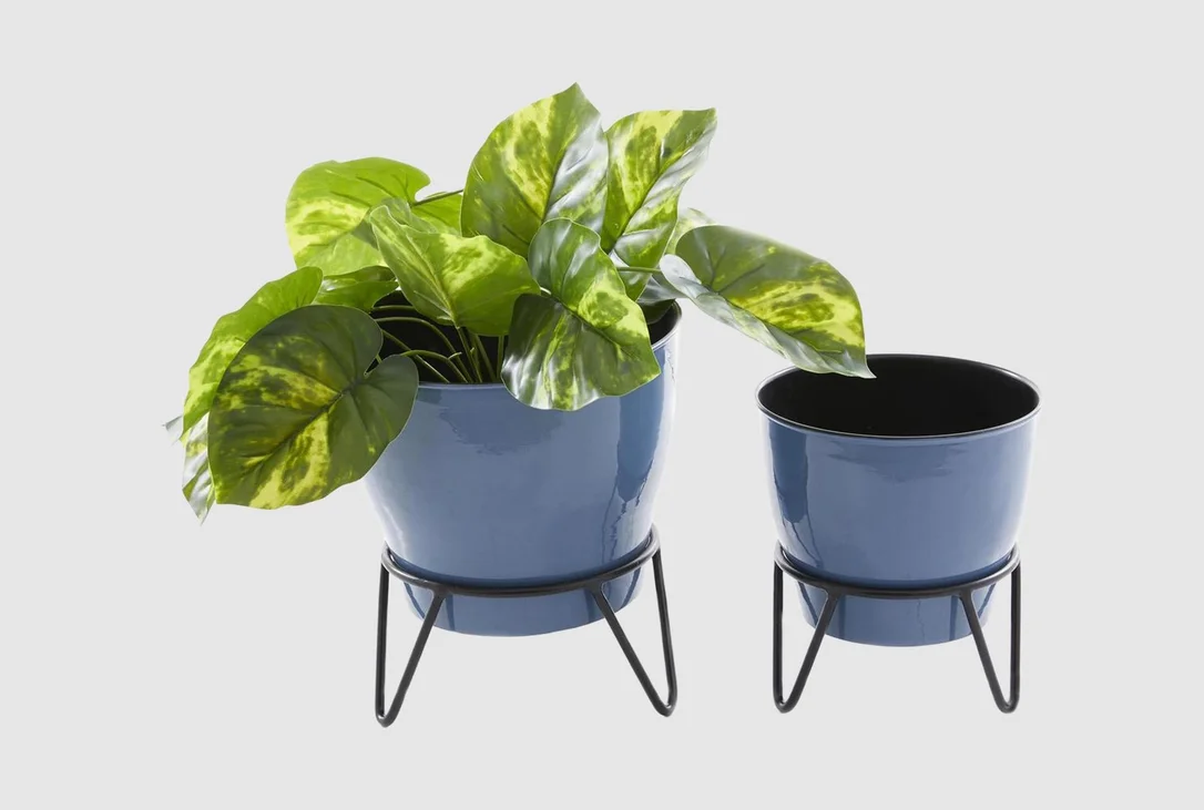 livingspaces202606210401121389736