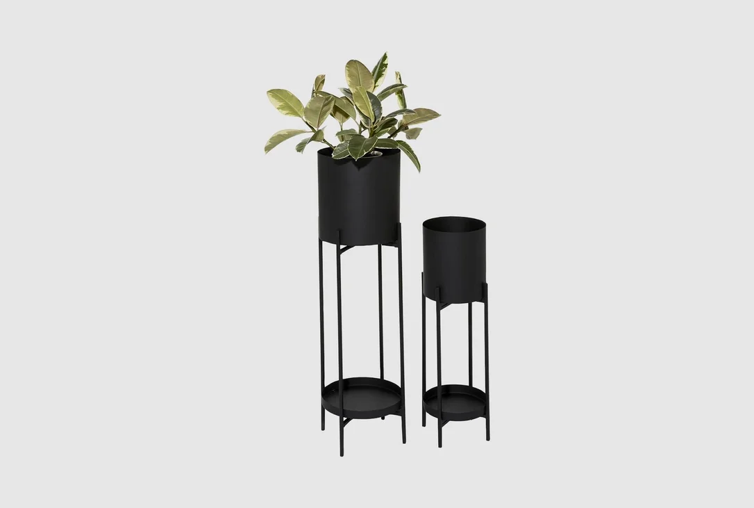 livingspaces202606210426081394079