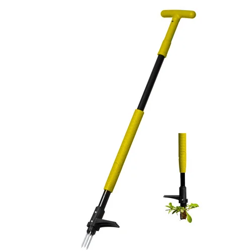 quickwayimports20260616141612621812